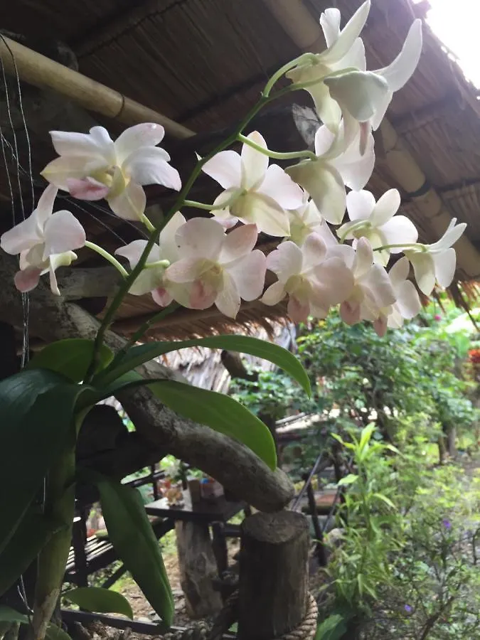 Guest house Easylife Bungalow Koh Lanta Thailand